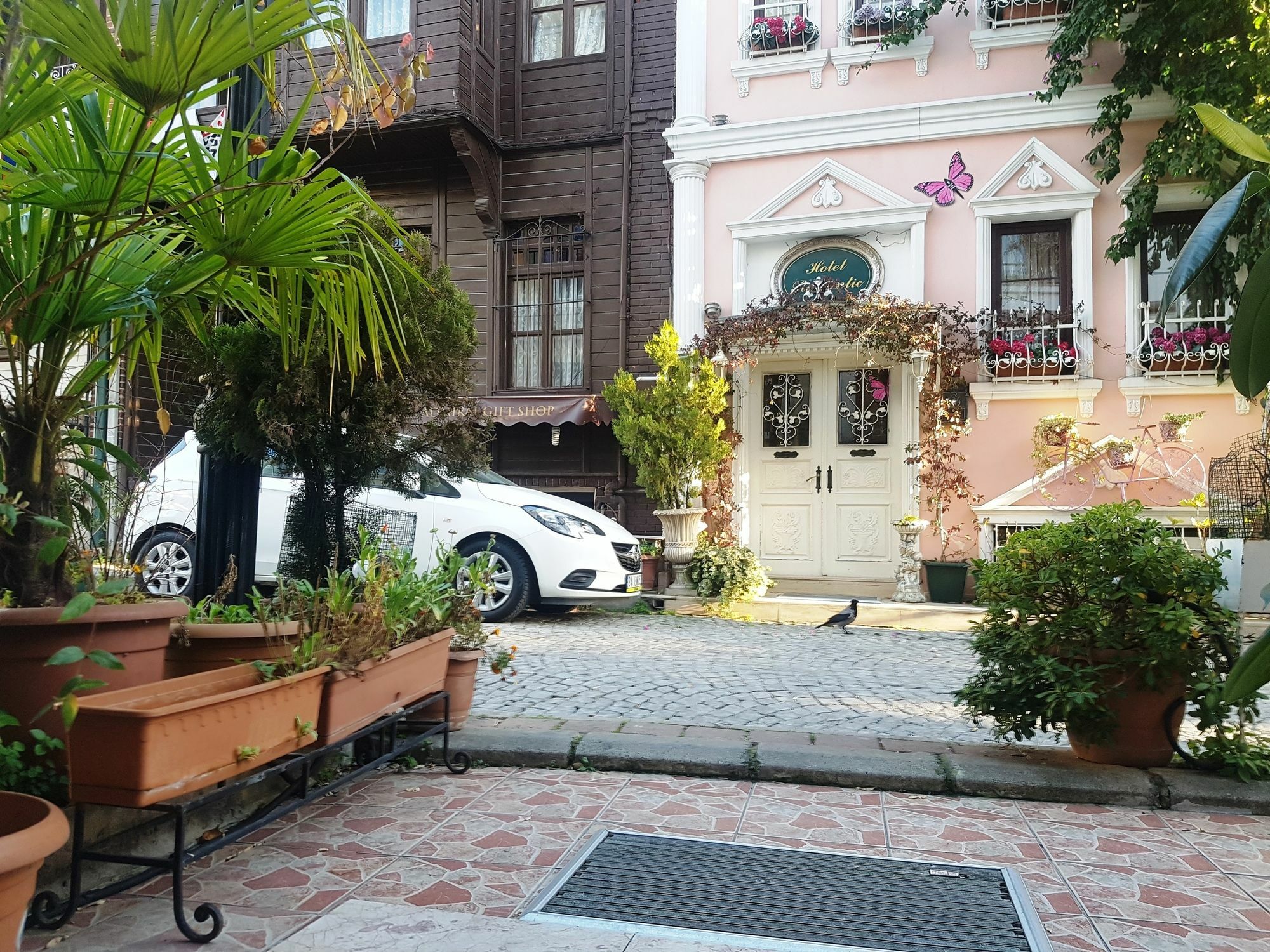 Oceans 7 Otel 3*